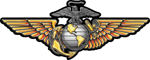 Marine aviator wings.